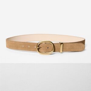 Aritzia Lifetime Wide Suede Solid Brass Belt